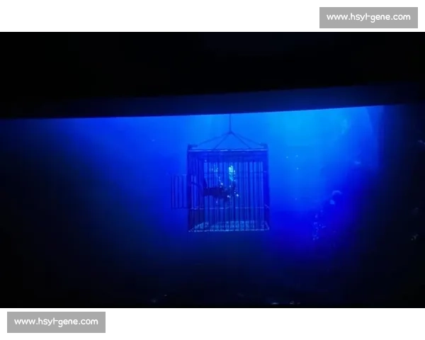 《深夜消失的证据背后隐藏的惊人秘密,究竟是谁在操控一切》